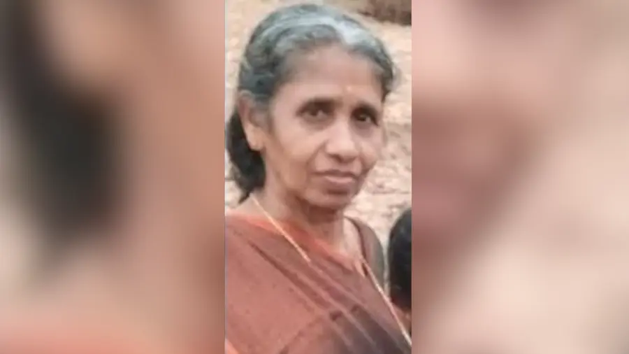 kalyani elephany attack