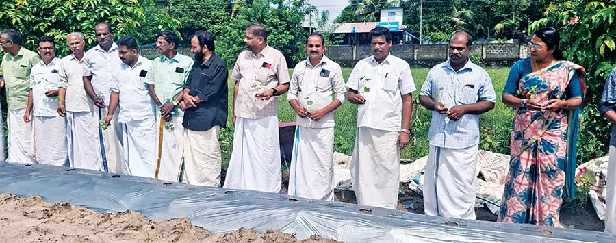കർഷകസംഘം തൈക്കാട്ടുശേരി മേഖലയിൽ തുടങ്ങിയ ഓണക്കാല പച്ചക്കറികൃഷിയുടെ നടീൽ ജില്ലാ സെക്രട്ടറി
സി ശ്രീകുമാർ ഉണ്ണിത്താൻ ദ്ഘാടനംചെയ്യുന്നു