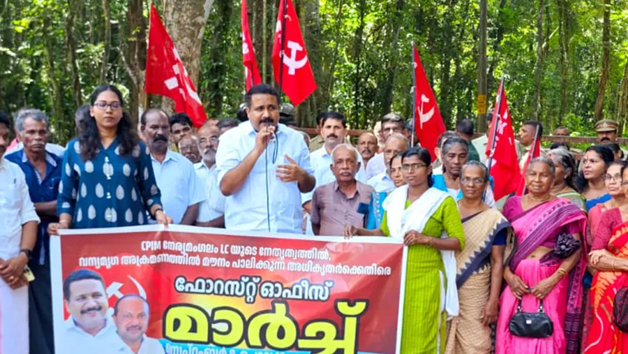 Forest Office March