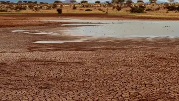kenya climate