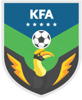 വനിതാ ഫുട്‌ബോൾ