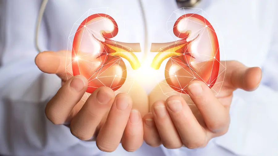 kidney disease