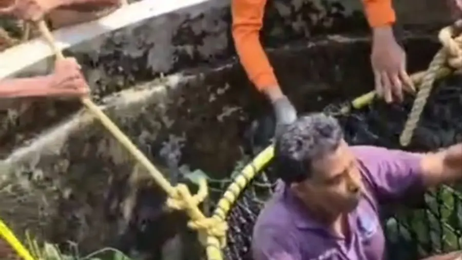 Rescued