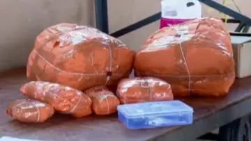 kkd Drug Smuggling.jpg