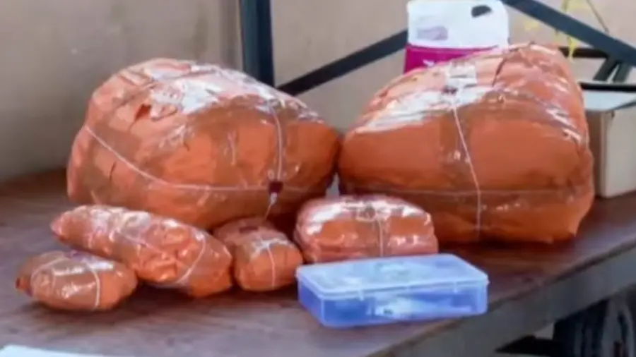kkd Drug Smuggling.jpg