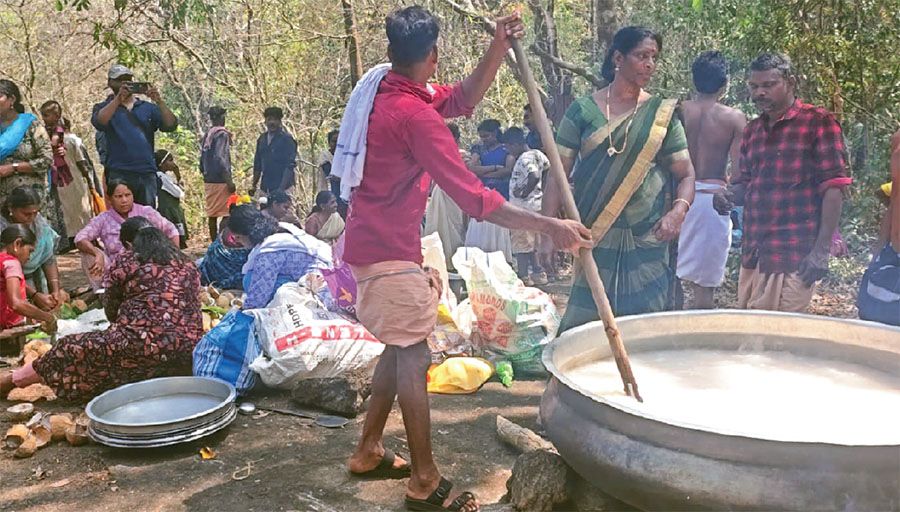 tribal festival payasapooja