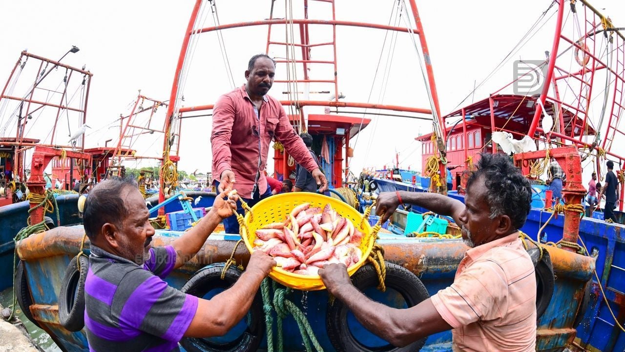 kollam harbour fish m s sreedhar lal