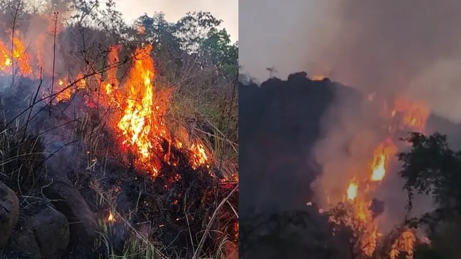koodaranji fire