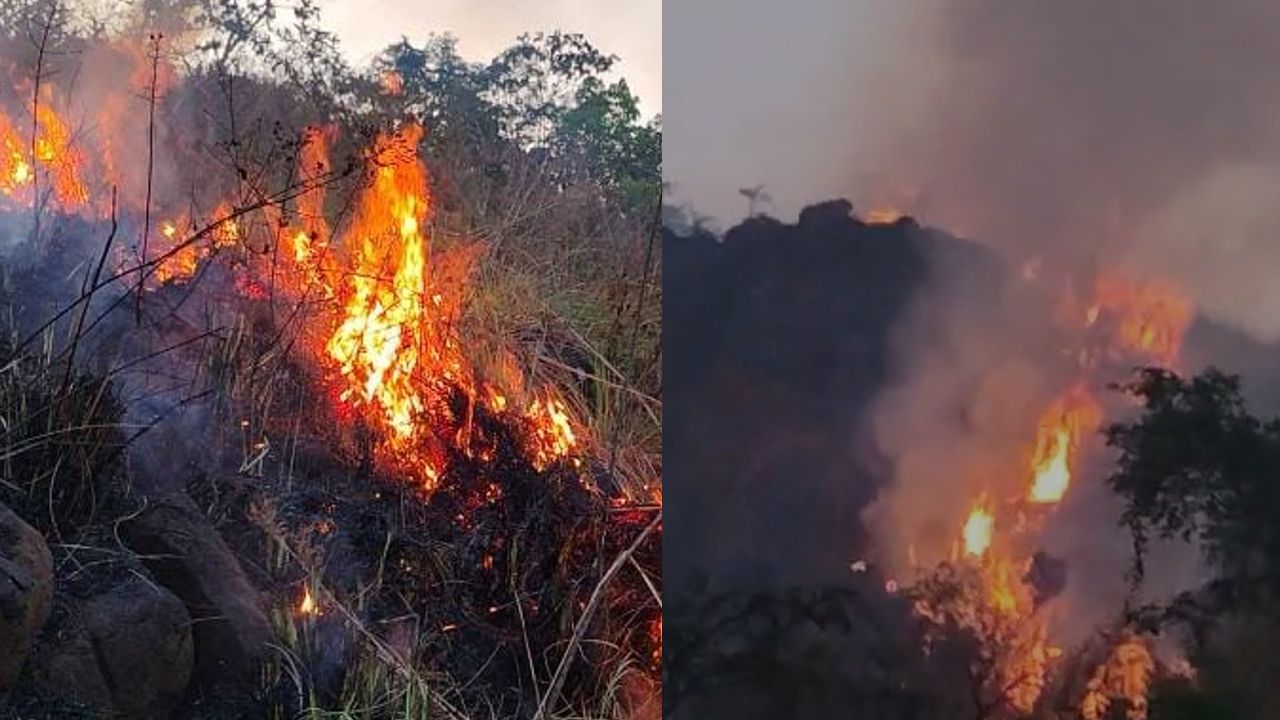 koodaranji fire