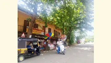 പിരായുംമൂട് ജങ്ഷനിൽ അപകടഭീഷണിയായ കൂറ്റൻ ബദാംമരം