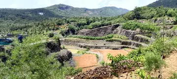 Kondotty has a beautiful view of the quarry, which was once a natural disaster, with native plants and fruit trees creating a feast of greenery.