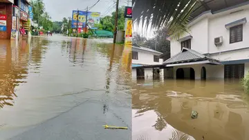 kottayam rain disaster