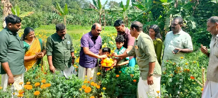 സുബിത്തിന്റെ പൂക്കൃഷിയുടെ വിളവെടുപ്പ് കെ എൻ ബാലഗോപാൽ എംഎൽഎ ഉദ്ഘാടനംചെയ്യുന്നു