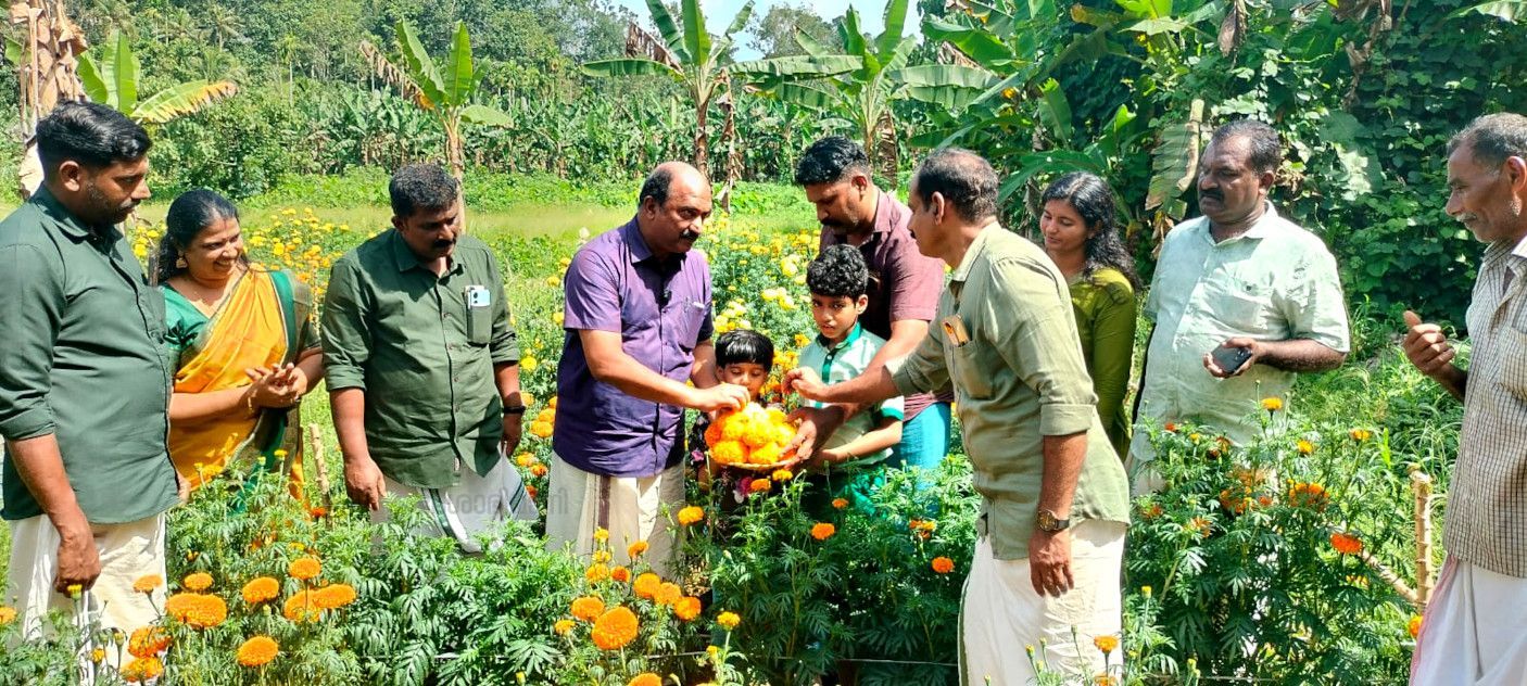 സുബിത്തിന്റെ പൂക്കൃഷിയുടെ വിളവെടുപ്പ്‌ കെ എൻ ബാലഗോപാൽ എംഎൽഎ ഉദ്ഘാടനംചെയ്യുന്നു