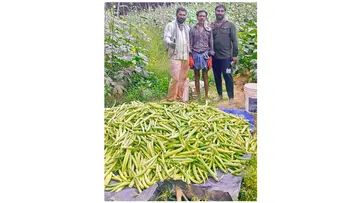 അനിലും സുഹൃത്തുക്കളും കൃഷിയിടത്തിൽ