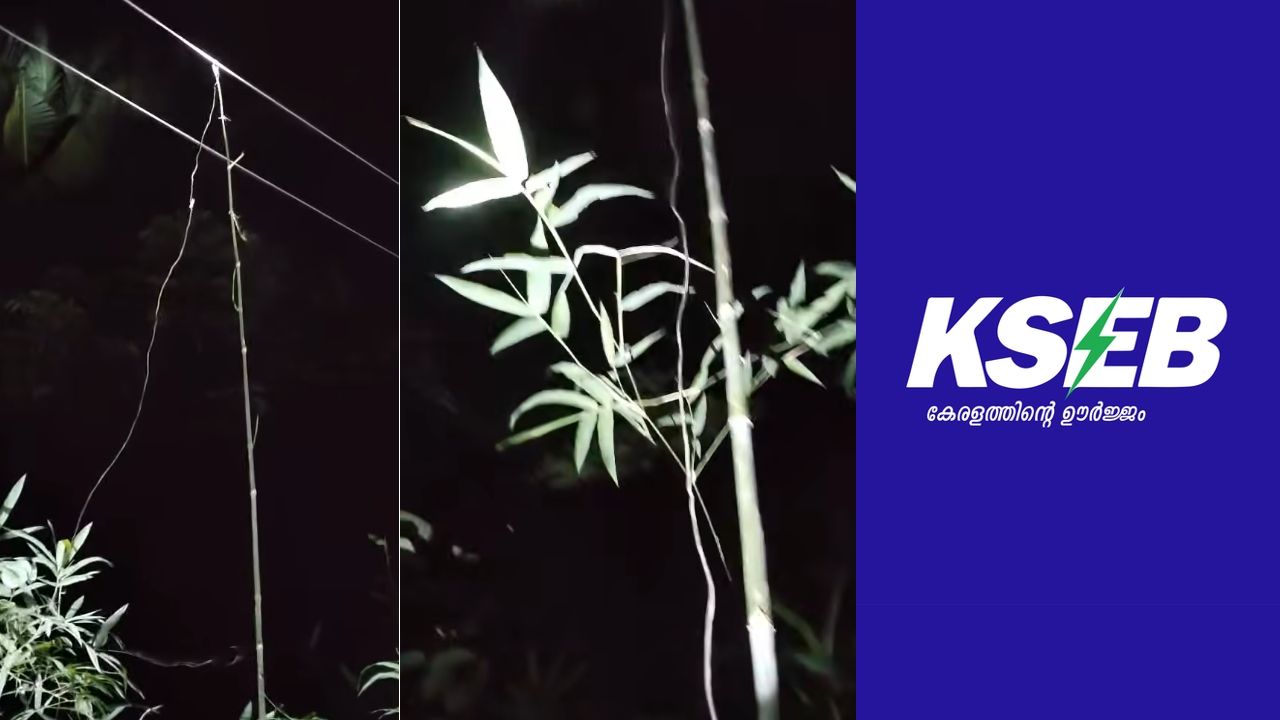 kseb explanation over vazhikkadavu student death