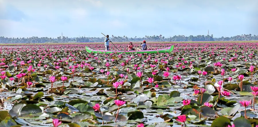Malarikkal Ambal tourism generates income for farmers