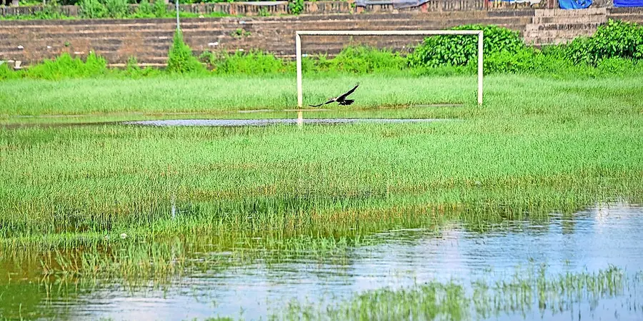 നാഗമ്പടം നെഹ്റു സ്റ്റേഡിയം വെള്ളവും കാടും കയറിയ നിലയിൽ