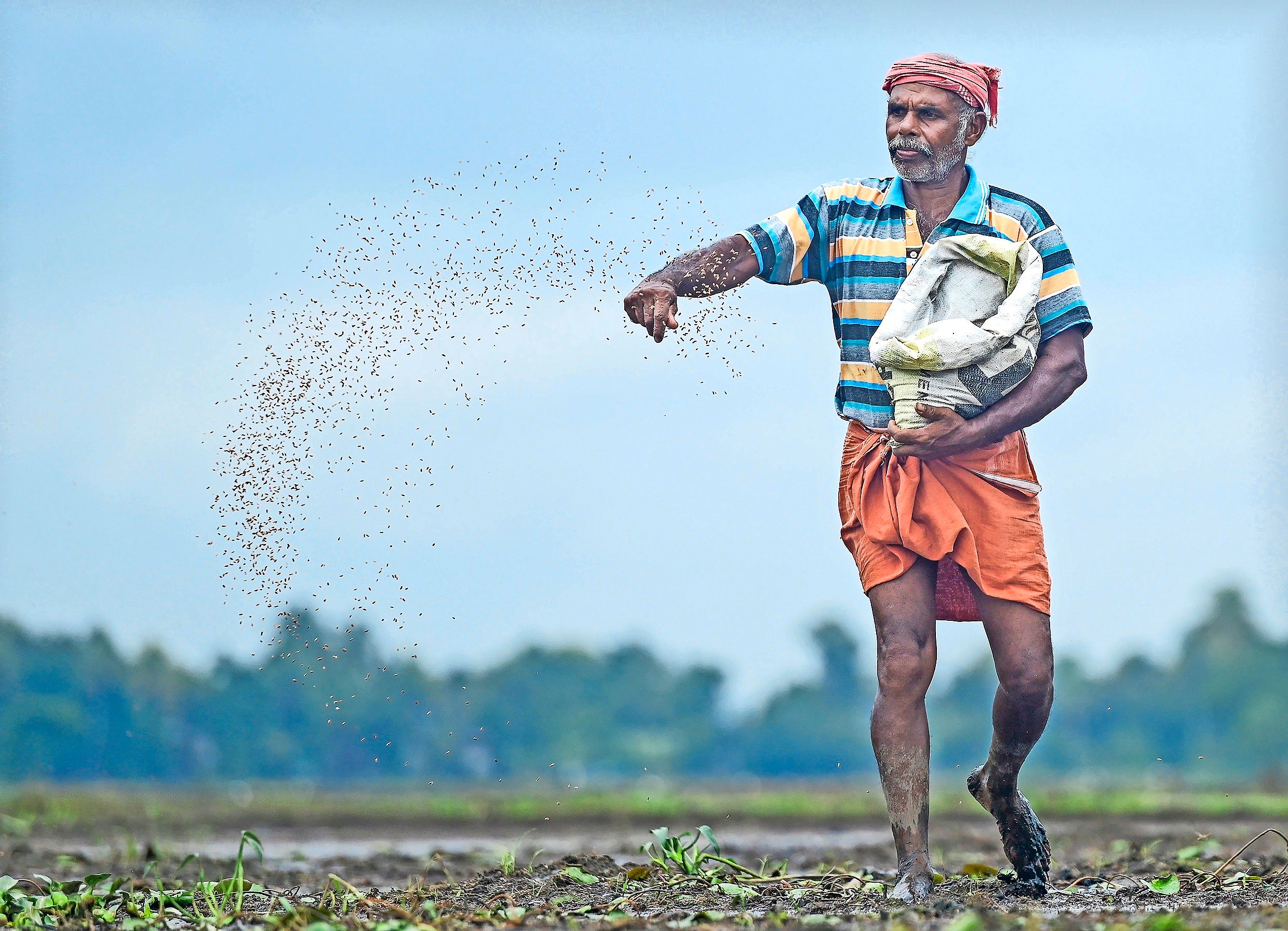 കർഷക ദിനം