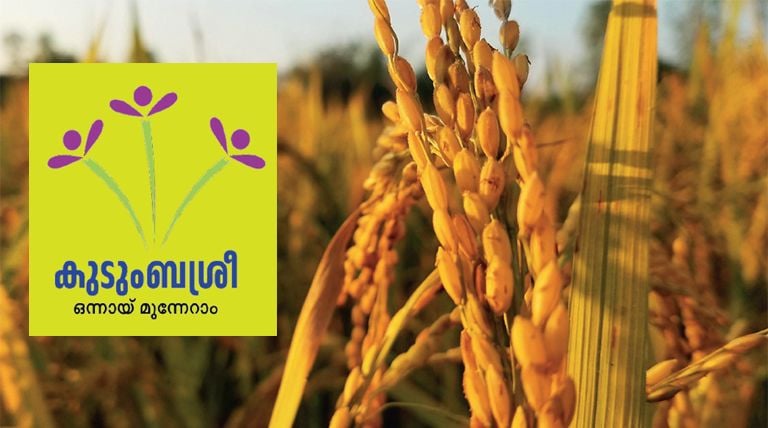 Kudumbashree Bhu Samruddhi scheme