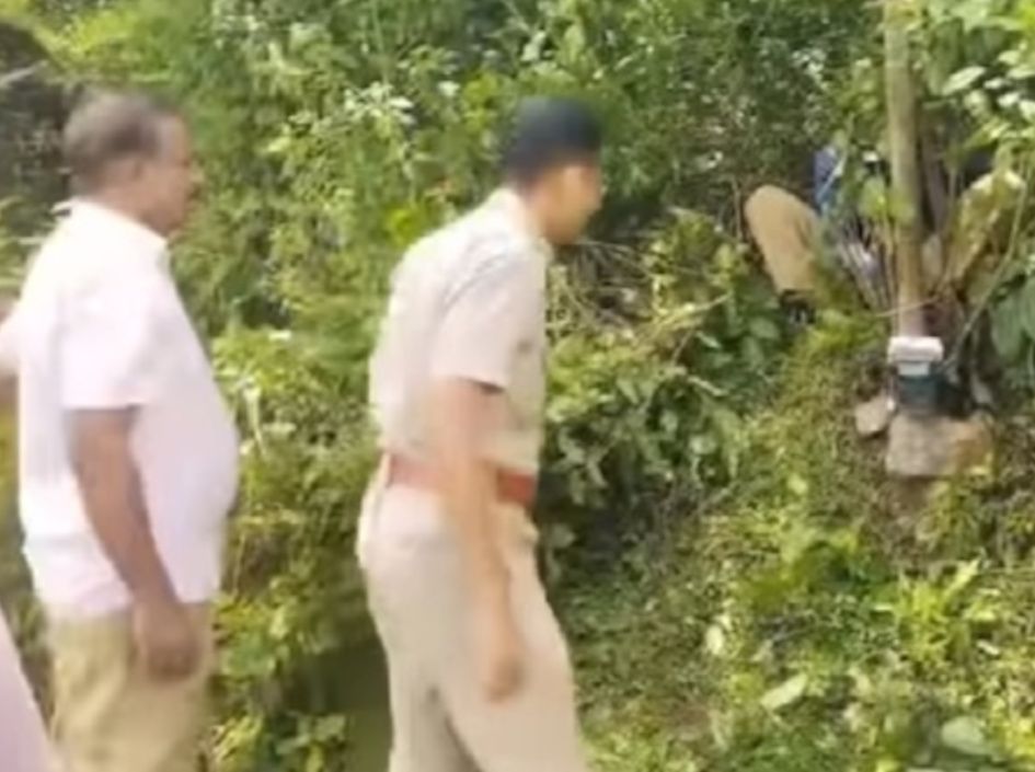 വനം വകുപ്പ് 