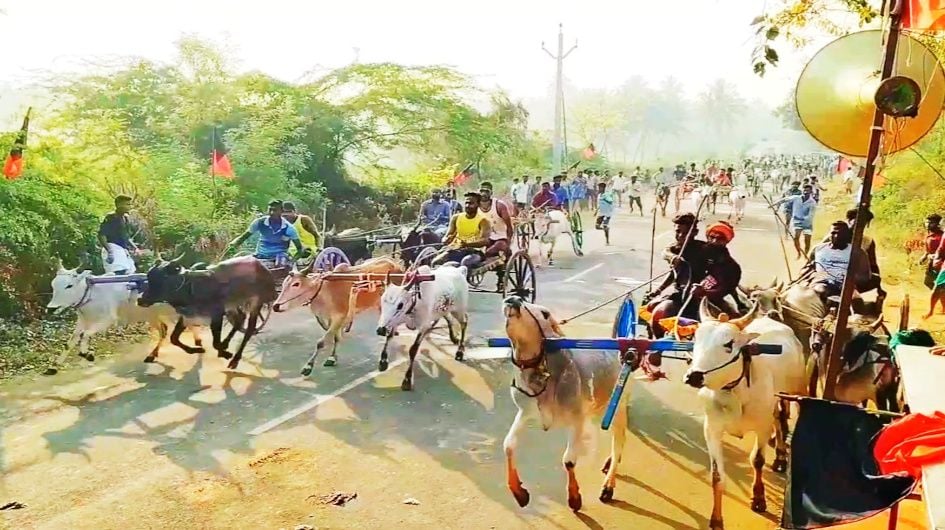 kalavandi