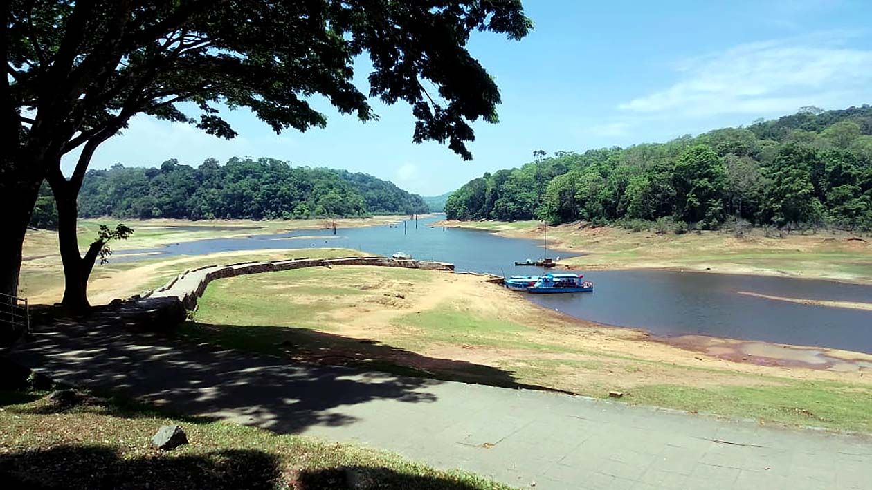 തേക്കടി ജലനിരപ്പ് കുറഞ്ഞ നിലയിൽ