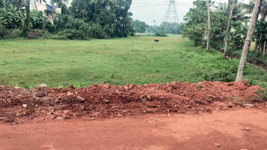 Widespread reclamation of paddy fields