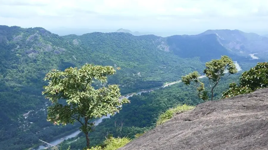 kuthirakuthi