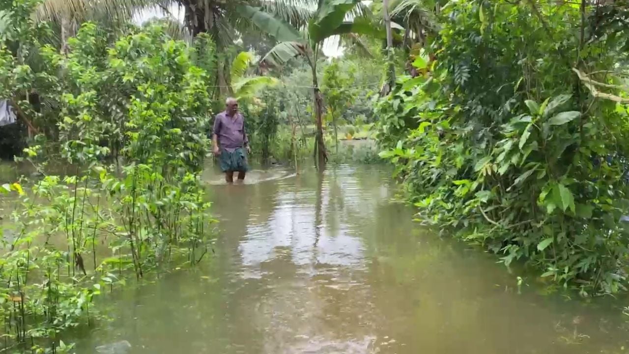 kuttanad 1