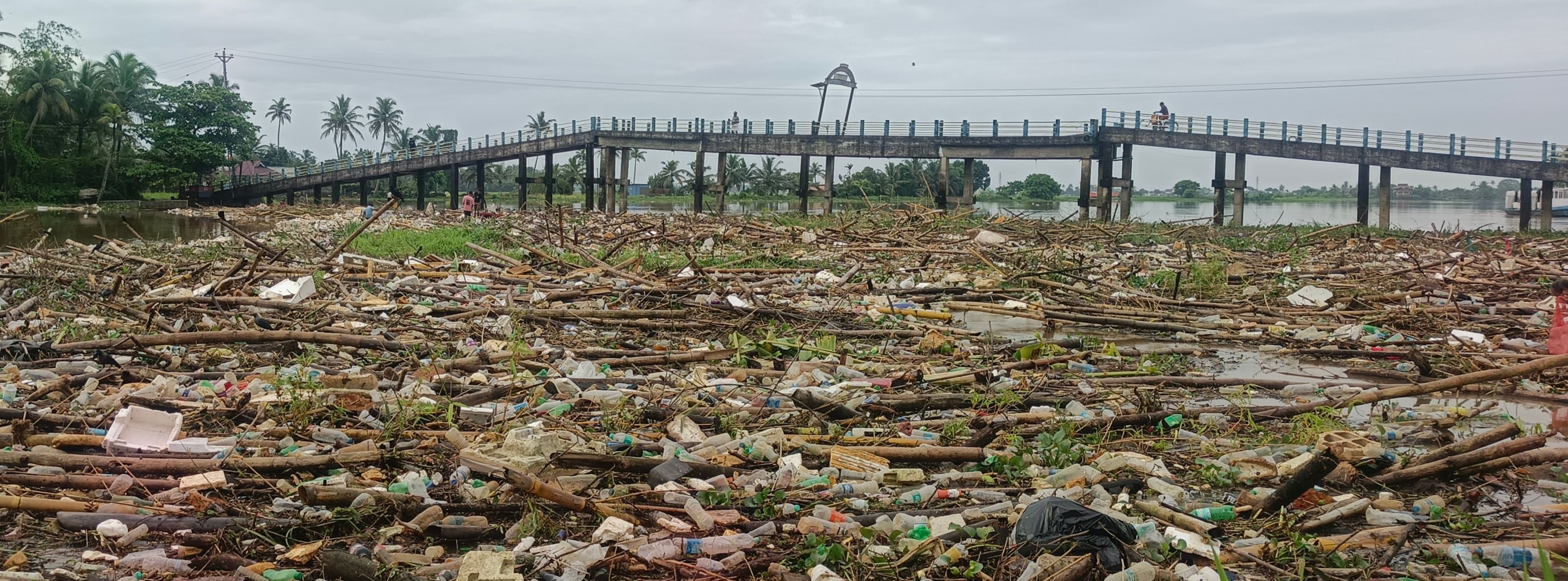 kuttanad waste rain.jpg