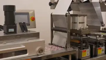 kuwait drug burst