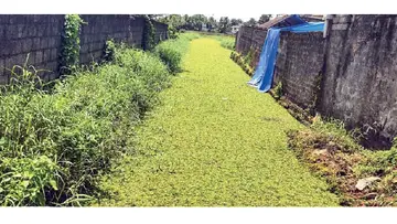 KUZHIKKANDAM  THODU