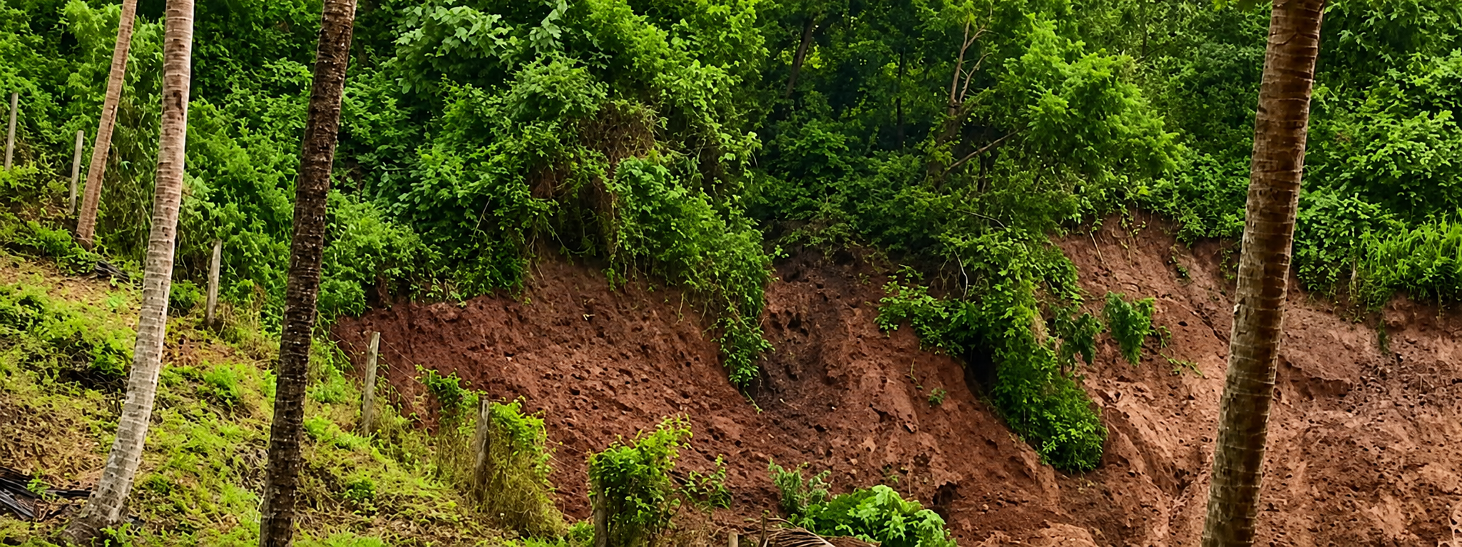 landslide