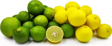 lemon