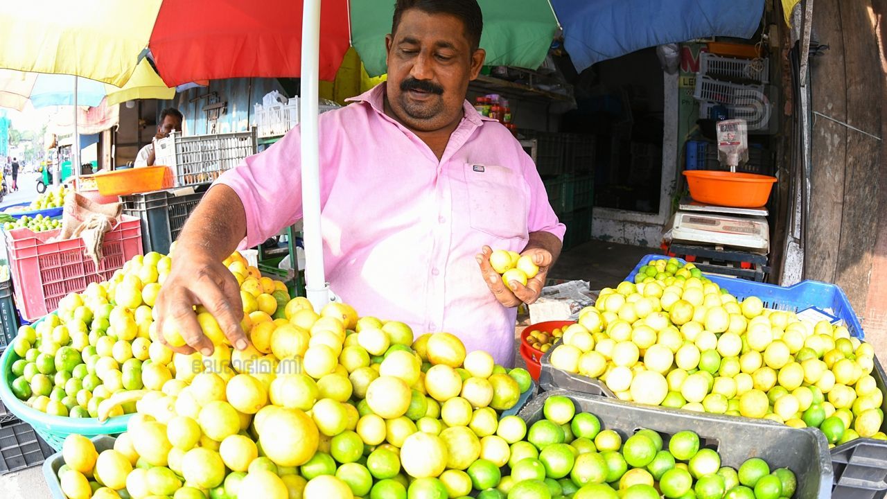 lemon m s sreedharlal kollam