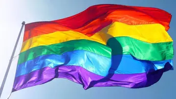 lgbtq plus