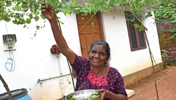 ldf housing frojects for landslide victims