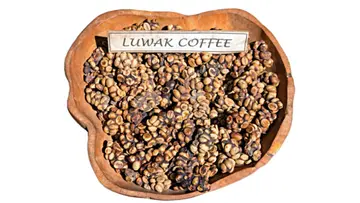 luwak coffee wayanad
