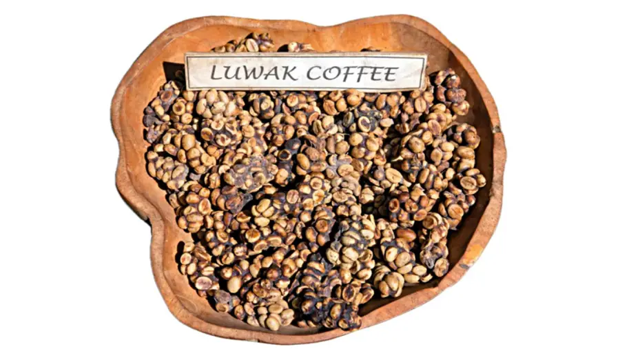 luwak coffee wayanad