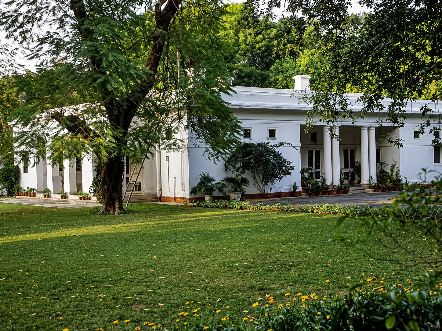 lyutens delhi