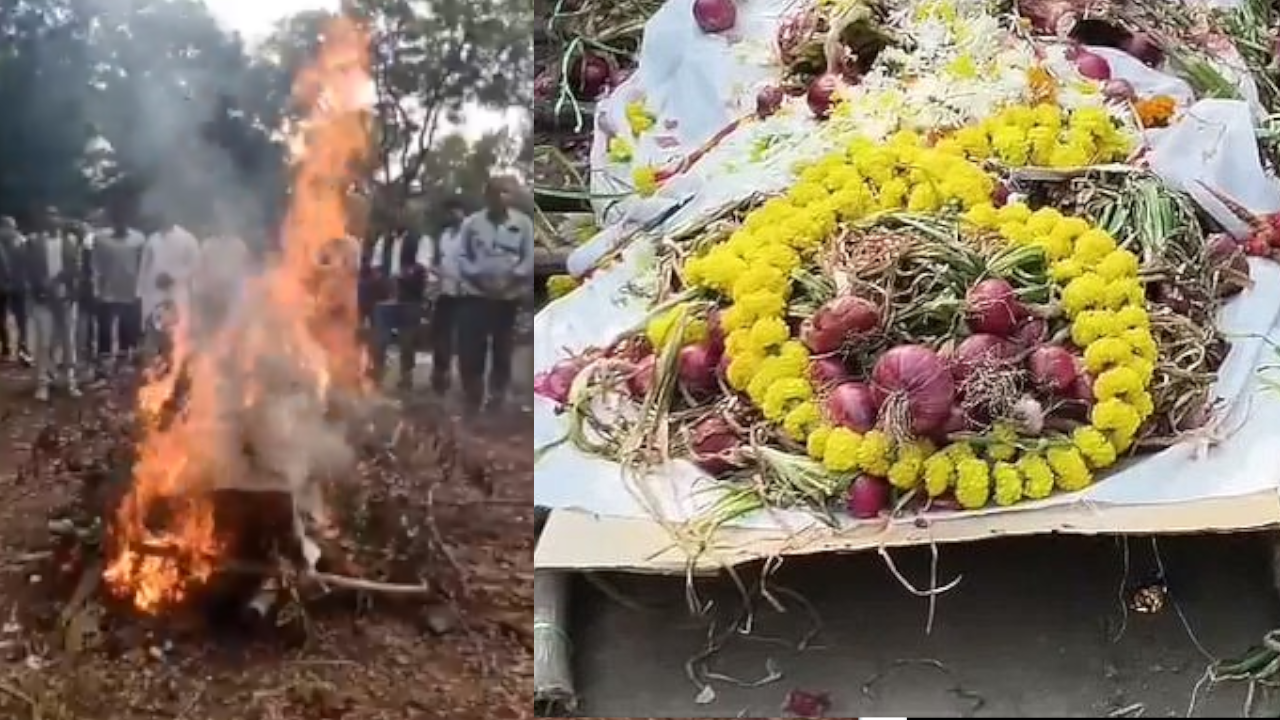 madhyapradesh onion