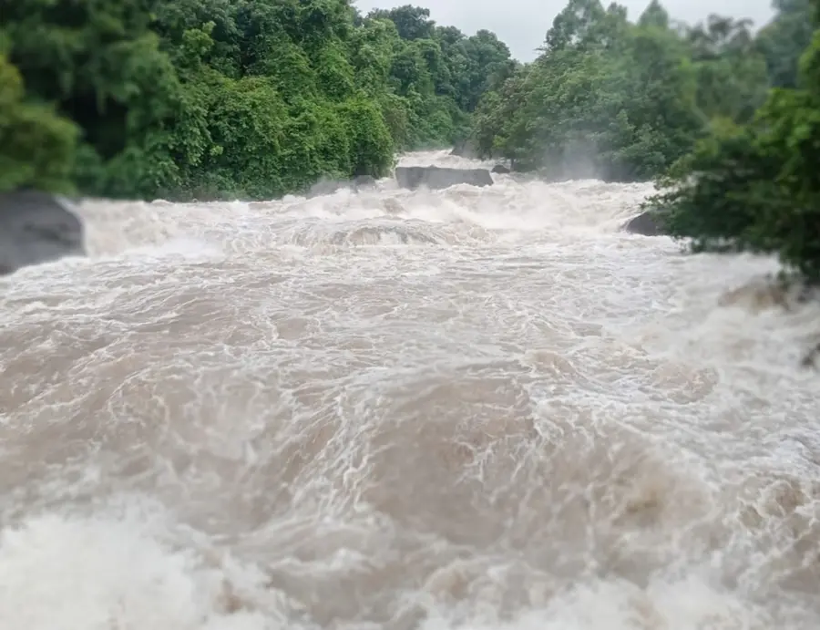 ഇരുവഴിഞ്ഞിപ്പുഴയിലുണ്ടായ മലവെള്ളപ്പാച്ചിൽ