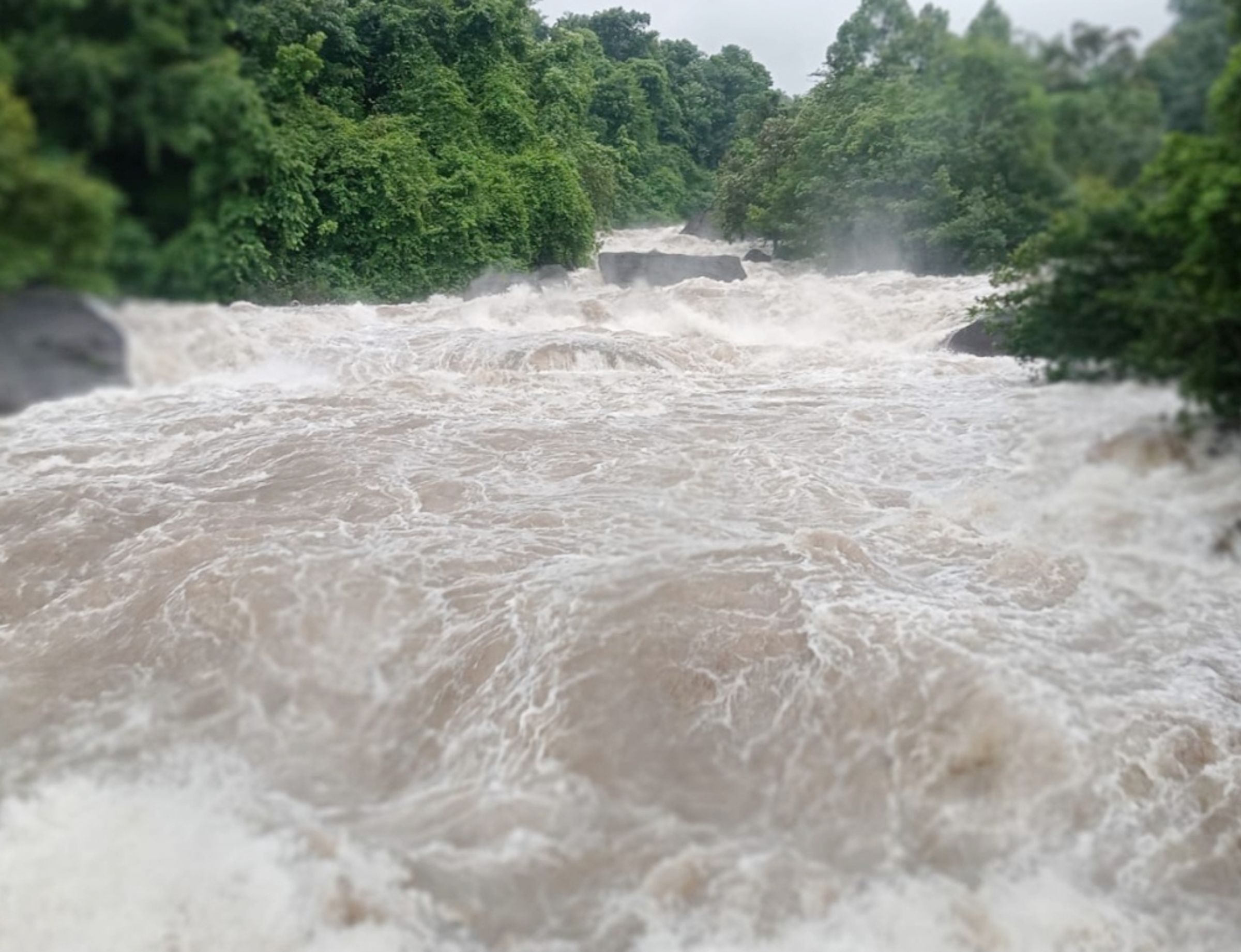  ഇരുവഴിഞ്ഞിപ്പുഴയിലുണ്ടായ മലവെള്ളപ്പാച്ചിൽ