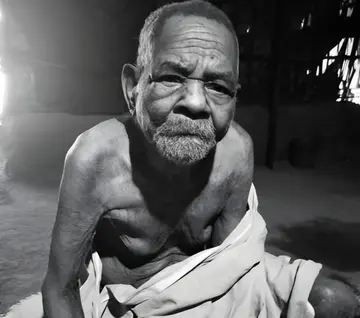 mallan kani