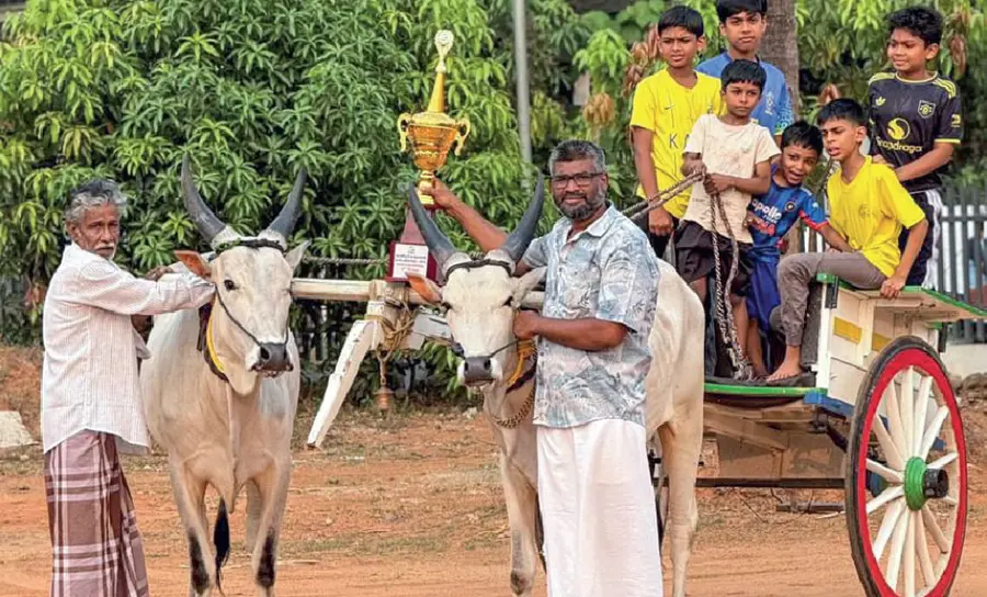 Kakkoor Kalavayal