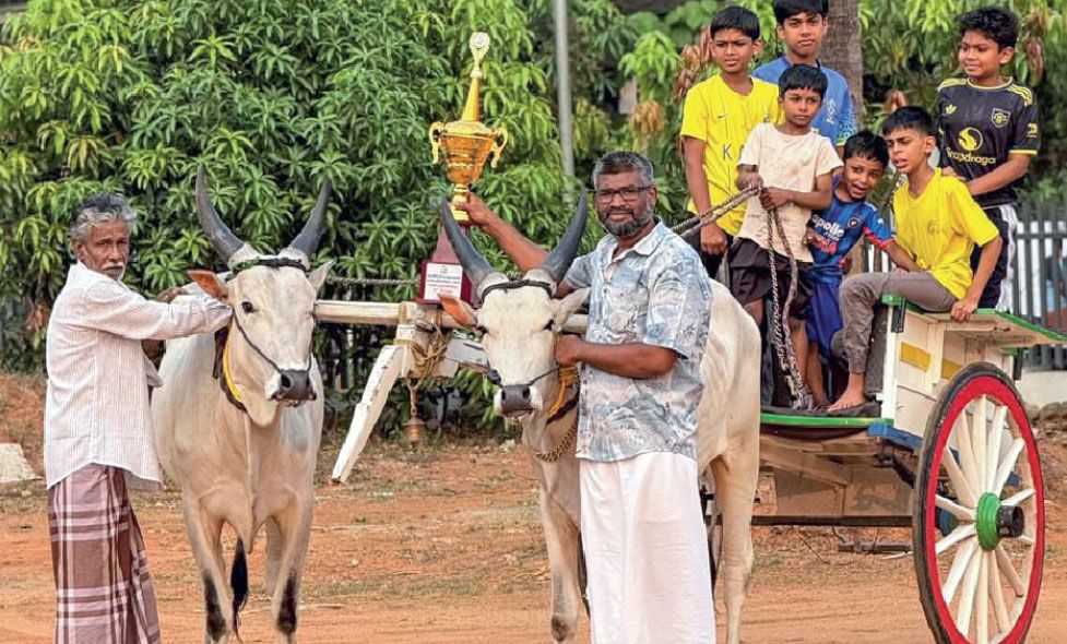Kakkoor Kalavayal