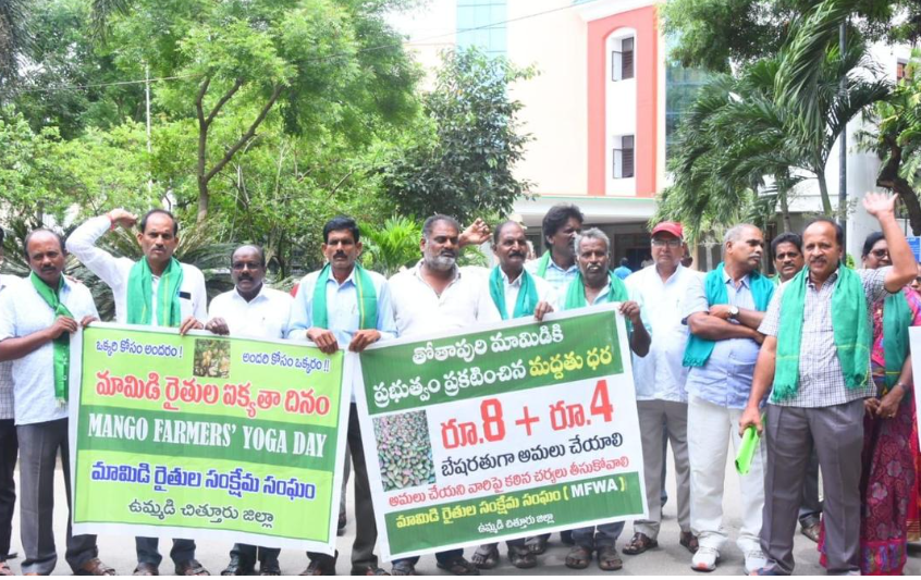 AP Mango Protest