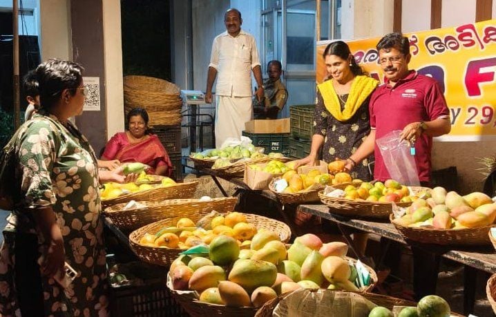 കെടിഡിസിയിൽ ആരംഭിച്ച മാന്പഴ മേള 