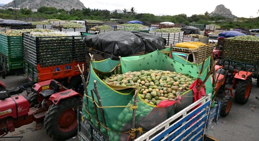 Mango loads